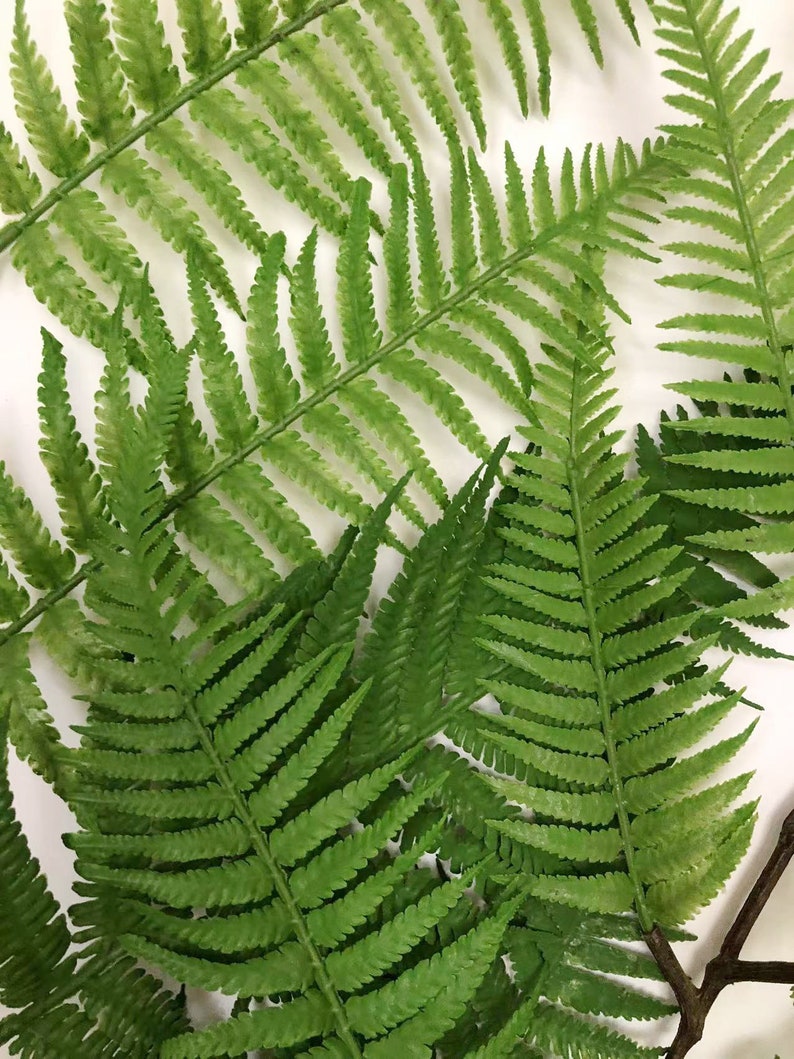 Long Stem Artificial Fern Leaves, Fake Tropical Plant Floral Arrangement, Home Decor, Wedding Party Supply