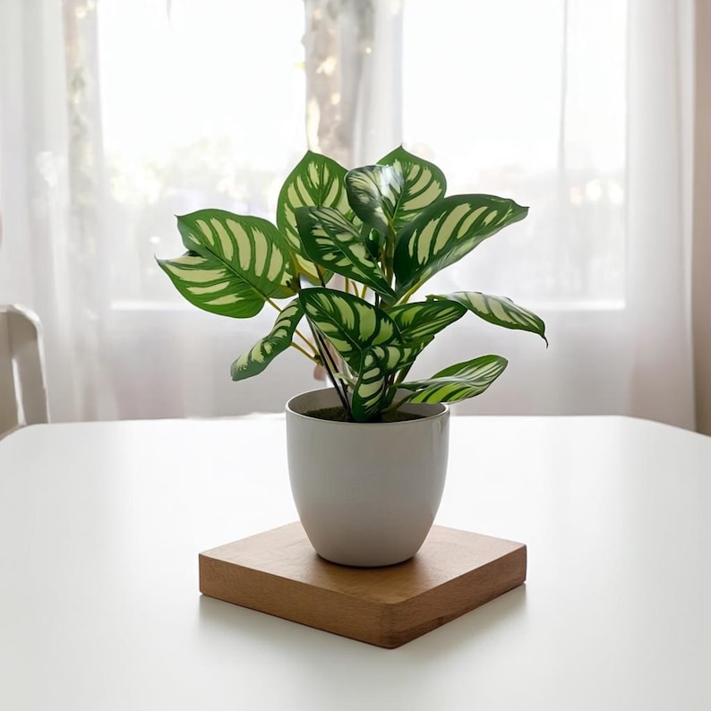 Small Artificial Bonsai in Pot, Faux Foliage Desk Plant, Minimalist Green Home Office Decor
