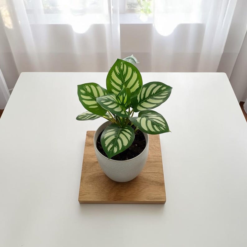 Small Artificial Bonsai in Pot, Faux Foliage Desk Plant, Minimalist Green Home Office Decor