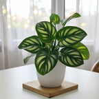 Small Artificial Bonsai in Pot, Faux Foliage Desk Plant, Minimalist Green Home Office Decor
