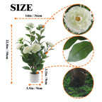 22-inch Artificial Camellia Tree, White Potted Silk Flowers, Realistic Faux Plant Home Decor