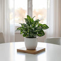 Small Artificial Bonsai in Pot, Faux Foliage Desk Plant, Minimalist Green Home Office Decor