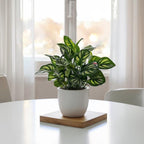 Small Artificial Bonsai in Pot, Faux Foliage Desk Plant, Minimalist Green Home Office Decor